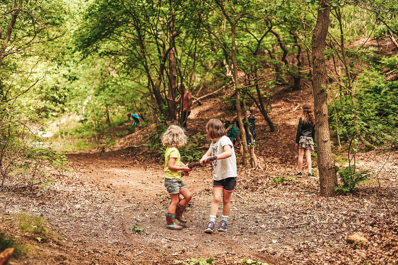Kinderen spelen met stokken in het bos op camping CAPFUN De Belten in Rheeze.