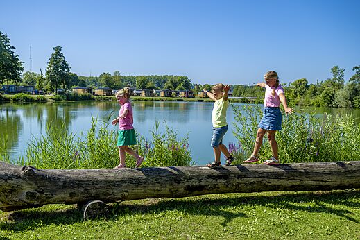 Kinderen balanceren op houten evenwichtsbalk op camping CAPFUN De Rotonde in Enspijk.