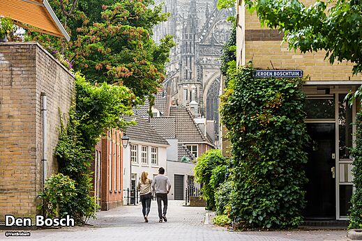 Geplaveide straat en historische gebouwen met kathedraal in Den Bosch, Brabant.