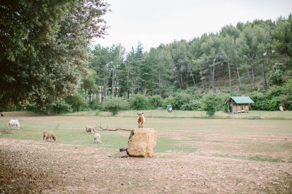 Naturiste Belezy, Vakantiepark Provence-Alpen-Cte d'Azur - 13