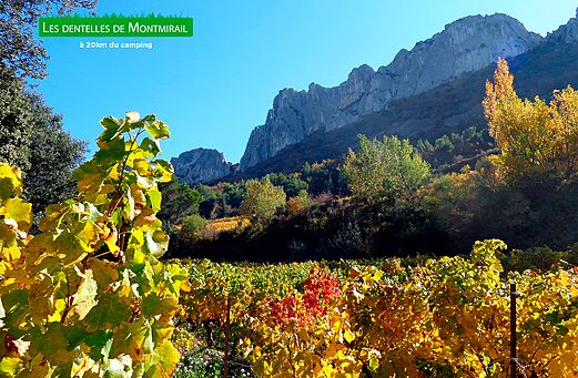 Les Dentelles de Montmirail, kleurrijke wijngaarden in herfst, bergmassief in de Provence.