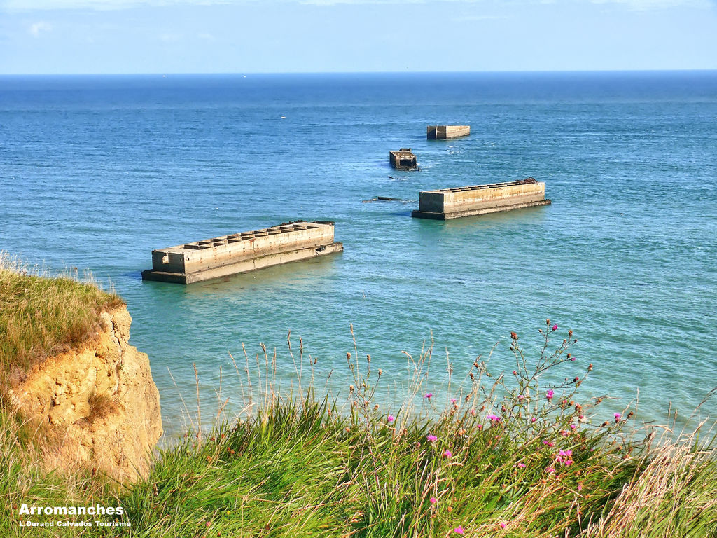Donjon de Lars : Maisons dans les arbres, Vakantiepark Basse-Normandie - 31