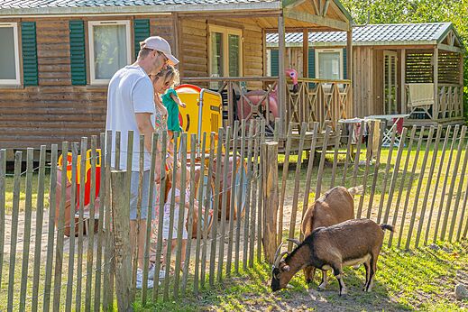 Miniboerderij met geiten en familie op camping CAPFUN Dune Fleurie in Quend Plage.