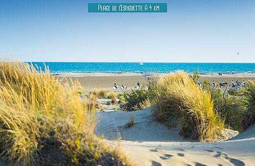 Plage de l'Espiguette, duinen en paarden nabij Le Grau du Roi.