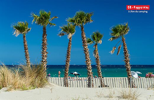 Fijn zandstrand en palmbomen in St-Cyprien, Pyrénées-Orientales.