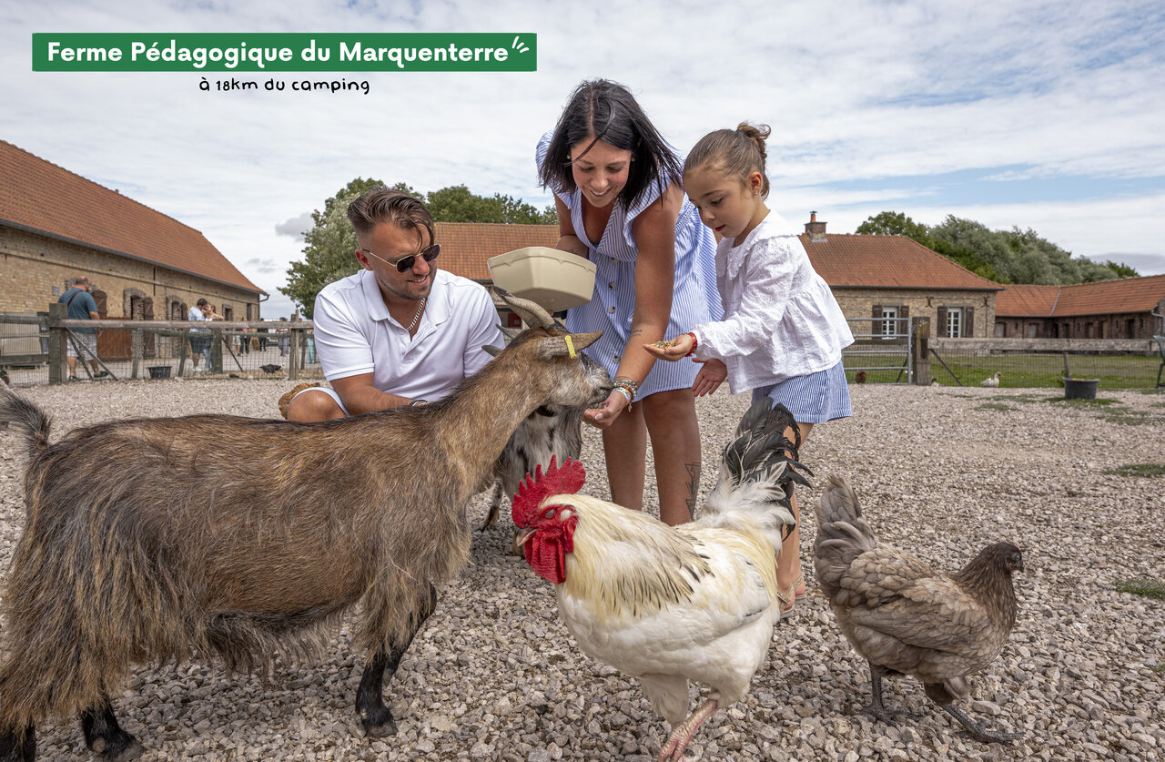 Familie voert geiten en kippen op de Educatieve Boerderij van Marquenterre.