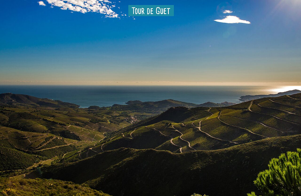 Tour de Guet, panorama Middellandse Zeekust en wijngaarden Argel�s-sur-Mer.