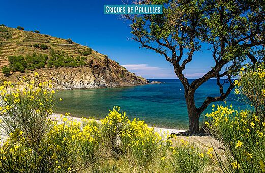 Criques de Paulilles, ongerepte strand en natuur bij Argelès-sur-Mer, Côte Vermeille.