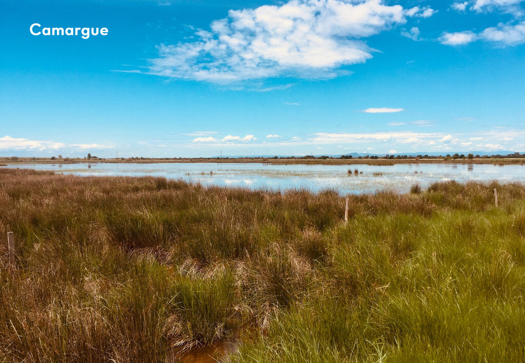 Fleur de Camargue, Camping Languedoc Roussillon - 10