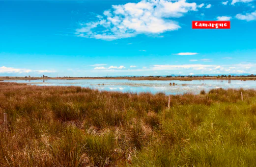 Vakantiepark Fleur de Camargue, Vakantiepark Languedoc Roussillon