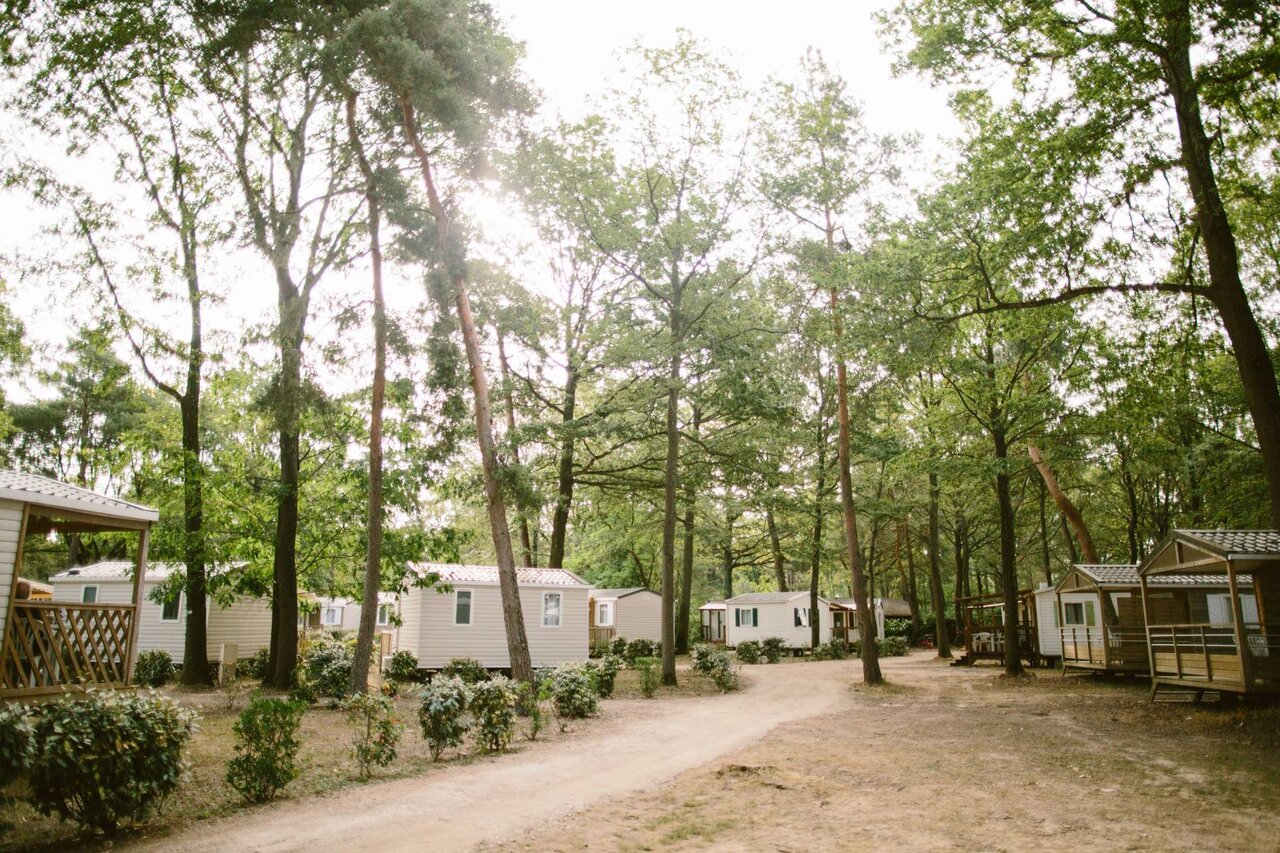 Moderne stacaravans onder bomen, pad op camping CLICOCHIC La For�t d'Azal�e.