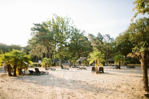 Zandstrand, palmbomen en stoelen op camping CLICOCHIC La Forêt d'Azalée.
