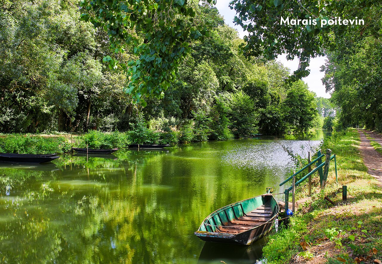 Traditionele boten op een groene gracht in het Marais Poitevin, regio Nouvelle-Aquitaine.