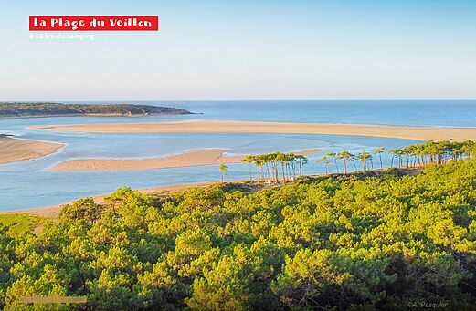 Plage du Veillon, estuarium en dennenbos, bezienswaardigheid in de Vend�e.