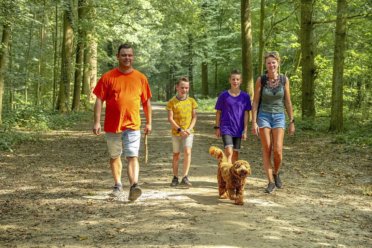Familie met hond wandelt op bospad bij camping CAPFUN De Fruithof in Klijndijk.