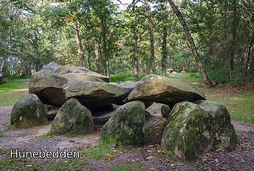 Prehistorische hunebed in een bosrijke omgeving, te bezoeken in Drenthe.