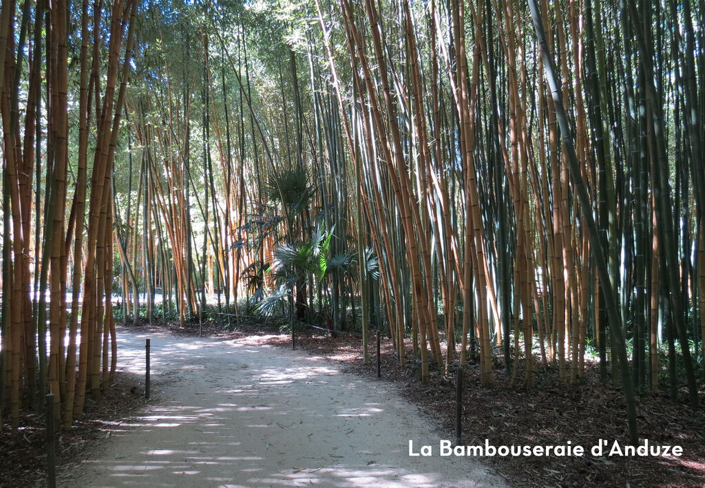 Les Fumades, Vakantiepark Languedoc Roussillon - 10