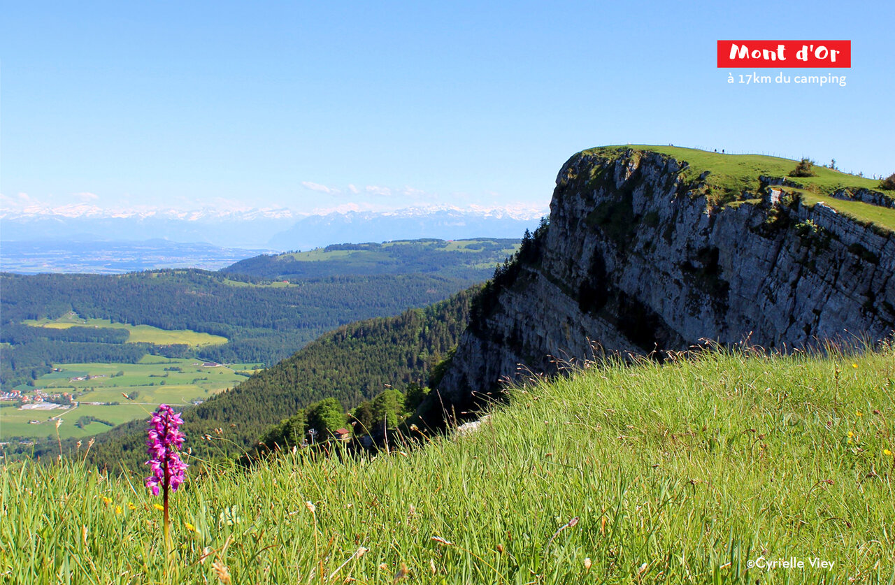 Mont d'Or, iconische berg in de Jura, bezienswaardigheid nabij de camping.
