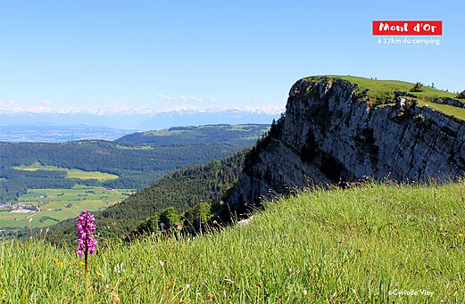 Panoramisch uitzicht op de Mont d'Or, bergmassief nabij Malbuisson, Jura.