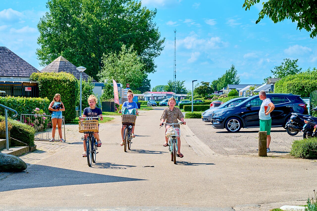 Kinderen fietsen op een levendige laan van camping CAPFUN Groene Eiland in Appeltern.