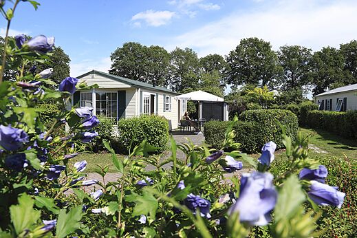 Stacaravan met terras en groen op camping CAPFUN Heino in Heino.
