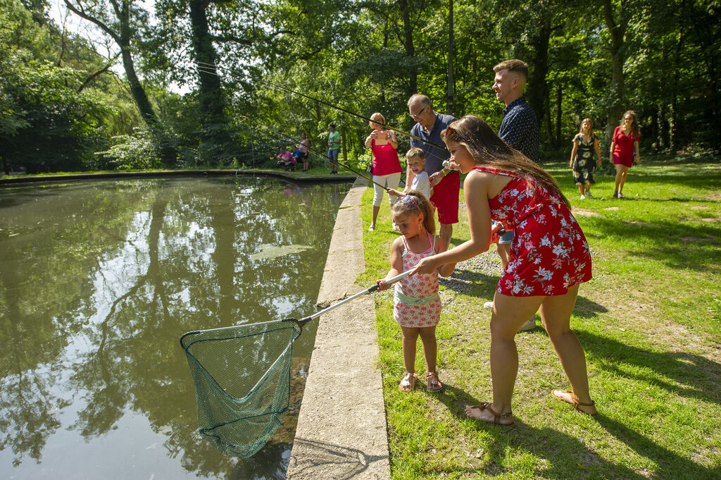 L'hirondelle, Camping Ardennen - 29