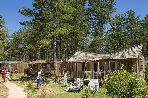 Houten Mobil-homes, terrassen en dennenbomen op CAPFUN Imbours LARNAS (07).