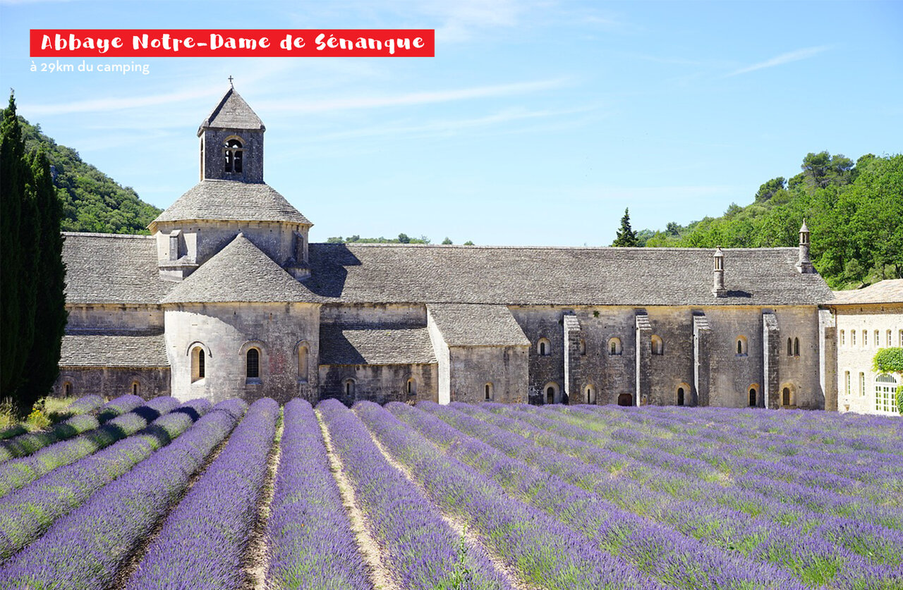 Abdij Notre-Dame de S�nanque en lavendelvelden, bezienswaardigheid in de Provence.