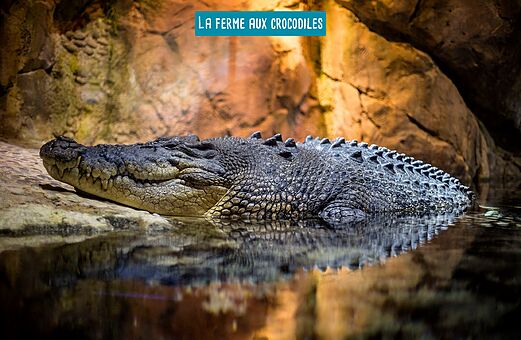 La Ferme aux Crocodiles, toeristische attractie te bezoeken nabij de camping.