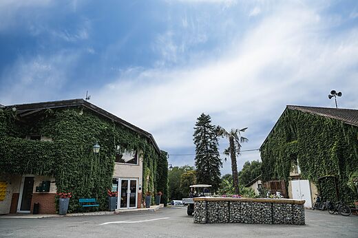 Receptiegebouwen bedekt met klimop op camping CAPFUN Lac des 3 Vall�es in Lectoure (32).