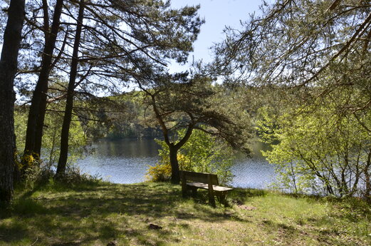 Rustig meer, schaduwrijk bankje, op camping CLICOCHIC Lac de Miel in Beynat (19).