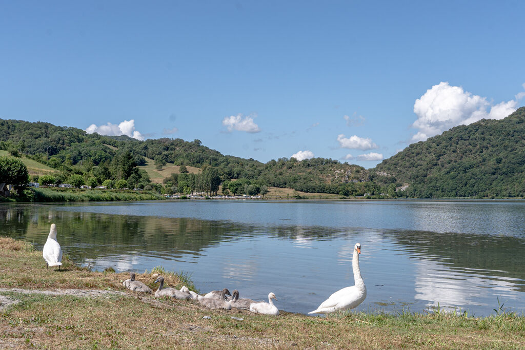 Lac du Lit du Roi, Camping Rhone-Alpen - 19