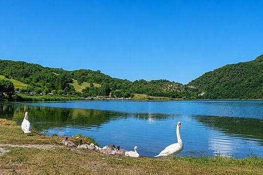Meer op camping CLICOCHIC Lac du Lit du Roi in Massignieu-de-Rives.