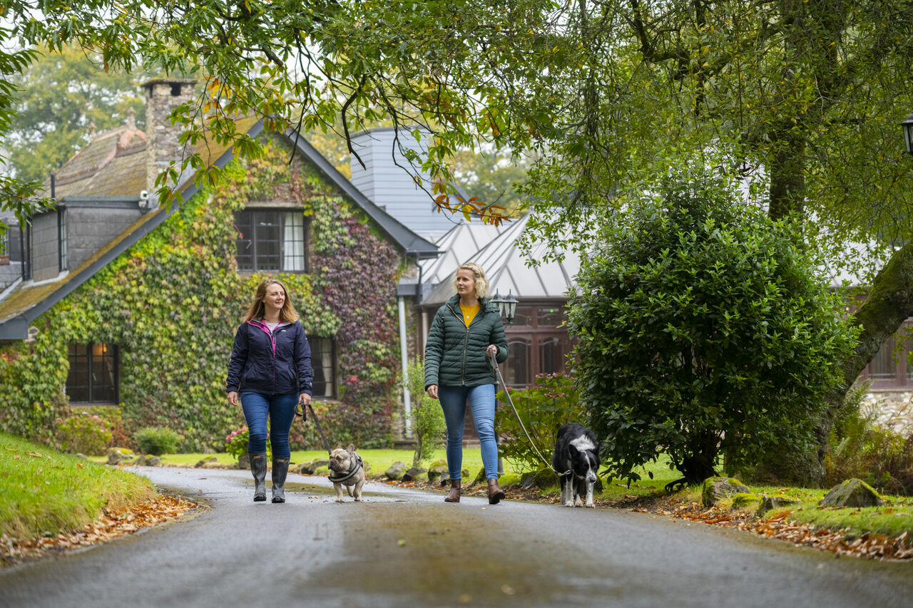 Vrouwen met honden op groen pad bij CAPFUN UK Lakeview Manor in Dunkeswell.