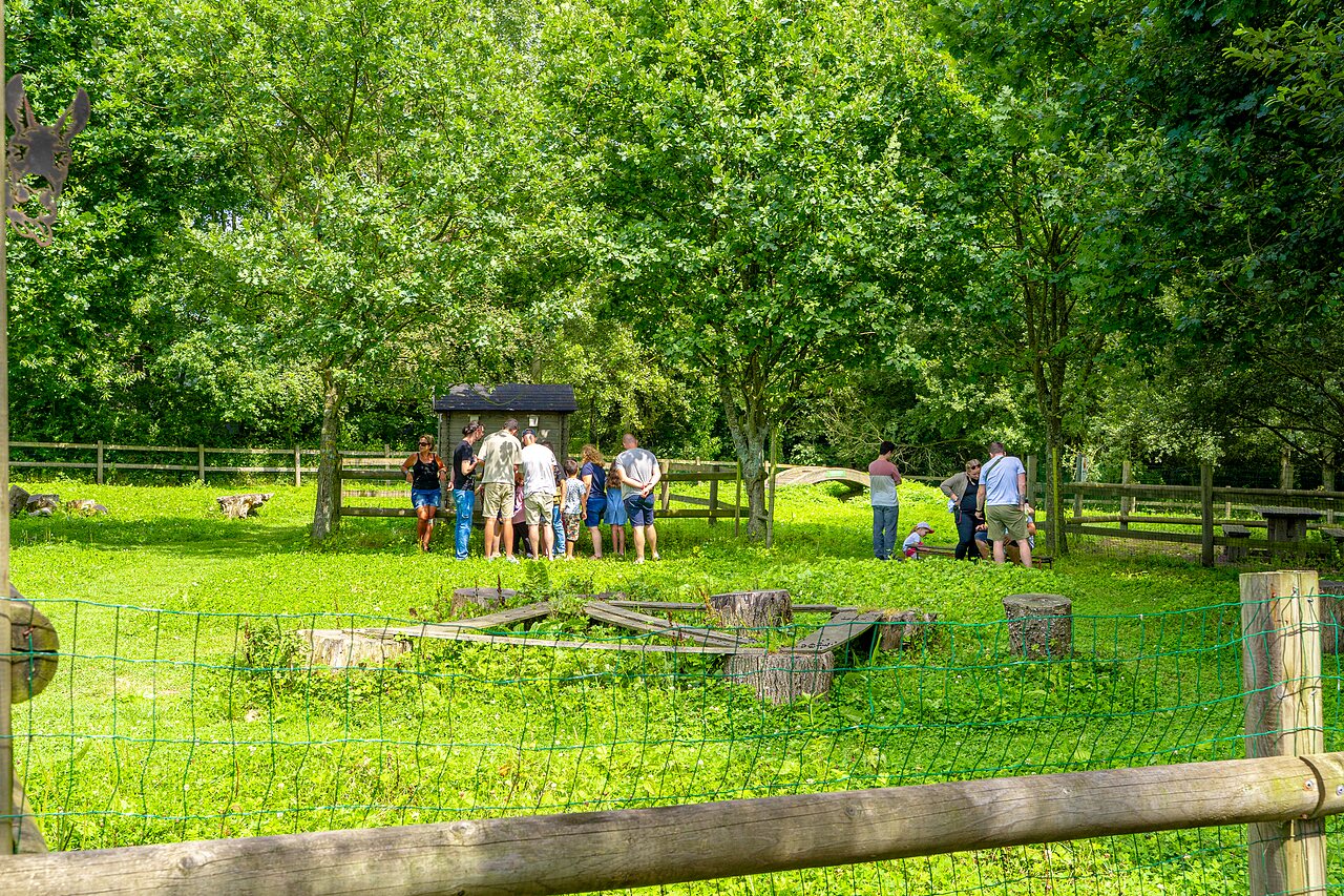 Natuuranimatie, spelletjes op camping VAGUES OCEANES Les Iles in Hudimesnil (50).