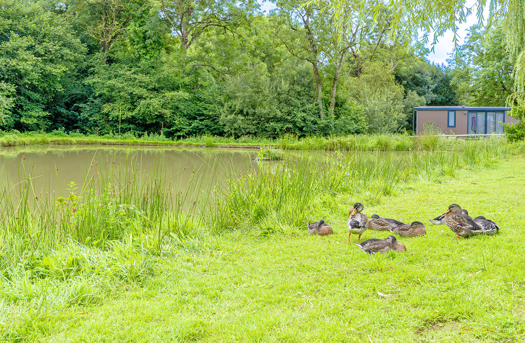 Les Iles, Vakantiepark Basse-Normandie - 36