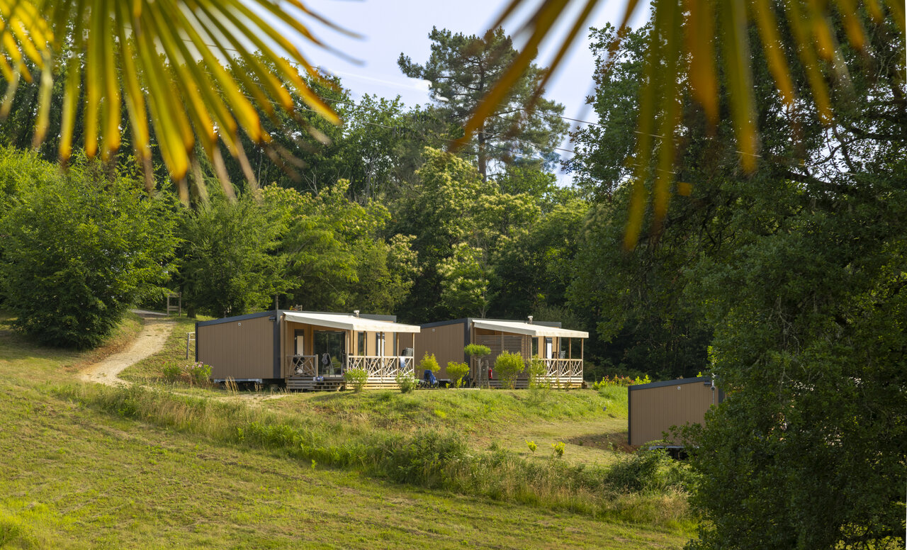 Moderne stacaravans met terrassen in de natuur op camping CLICOCHIC Linotte in Le Bugue (24).