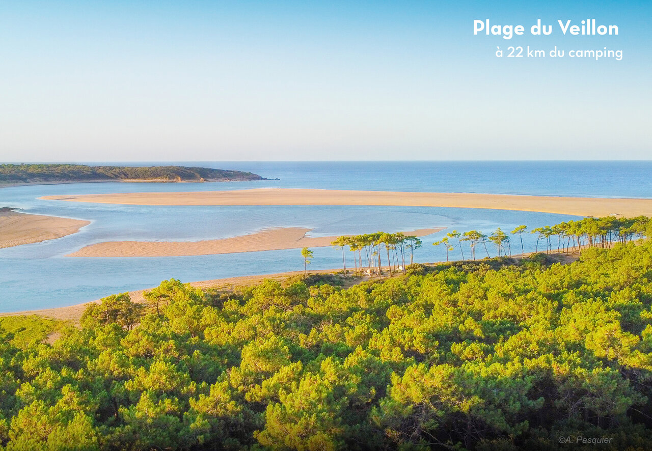 Plage du Veillon, estuarium en dennenbos nabij Les Sables d'Olonne.
