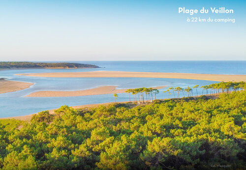 Plage du Veillon, estuarium en dennenbos, een plek om te bezoeken in Vendée.