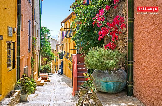 Sfeervolle bloemrijke en kleurrijke straat in Collioure, typisch dorp in de Pyrenee�n.