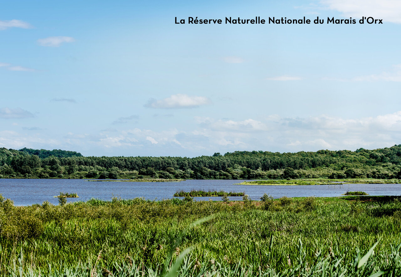 Nationaal Natuurreservaat Marais d'Orx, een natuurlijke plek om te bezoeken in Nieuw-Aquitani�.