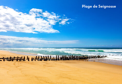 Strand van Seignosse met houten golfbrekers, te bezoeken in Les Landes.