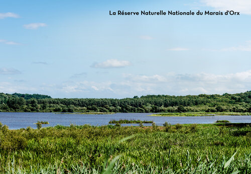Nationaal Natuurreservaat Marais d'Orx, een plek om te bezoeken nabij Labenne-Océan.