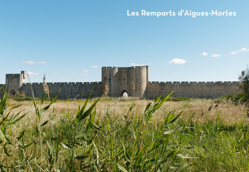Mille Ppites, Vakantiepark Languedoc Roussillon - 5