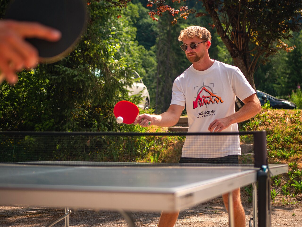 Morzine, Vakantiepark Rhone-Alpen - 14