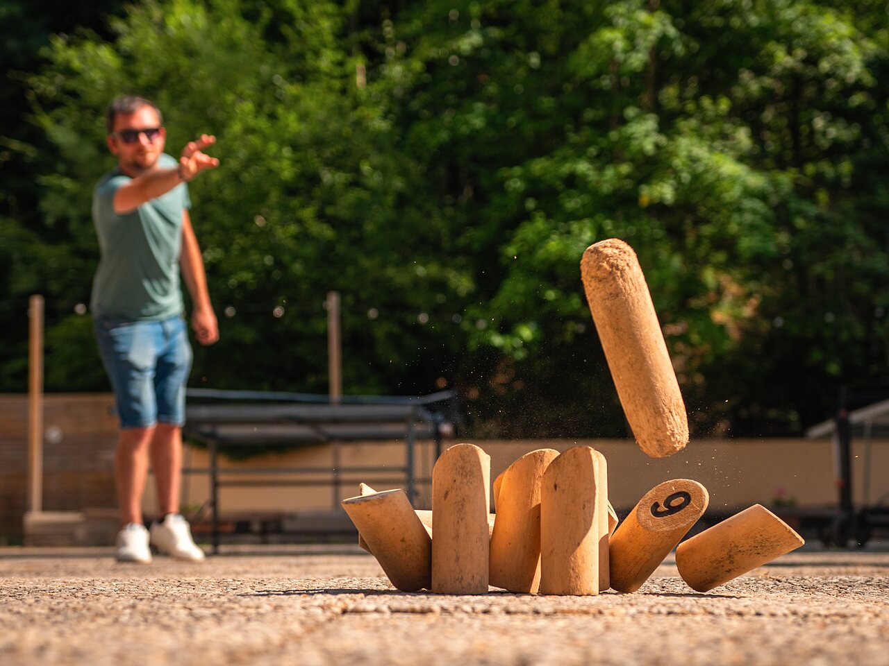 Morzine, Vakantiepark Rhone-Alpen - 17