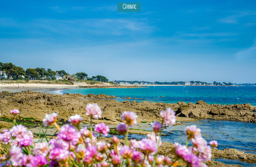 Fijn zandstrand en rotsachtige kust in Carnac, Morbihan, Bretagne.