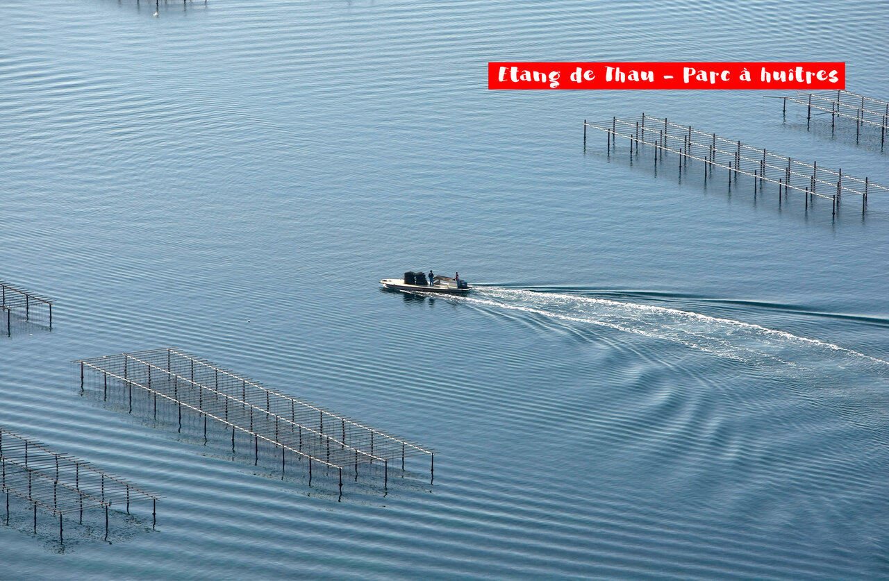 �tang de Thau en oesterpark met boot, bezienswaardigheid nabij S�te.