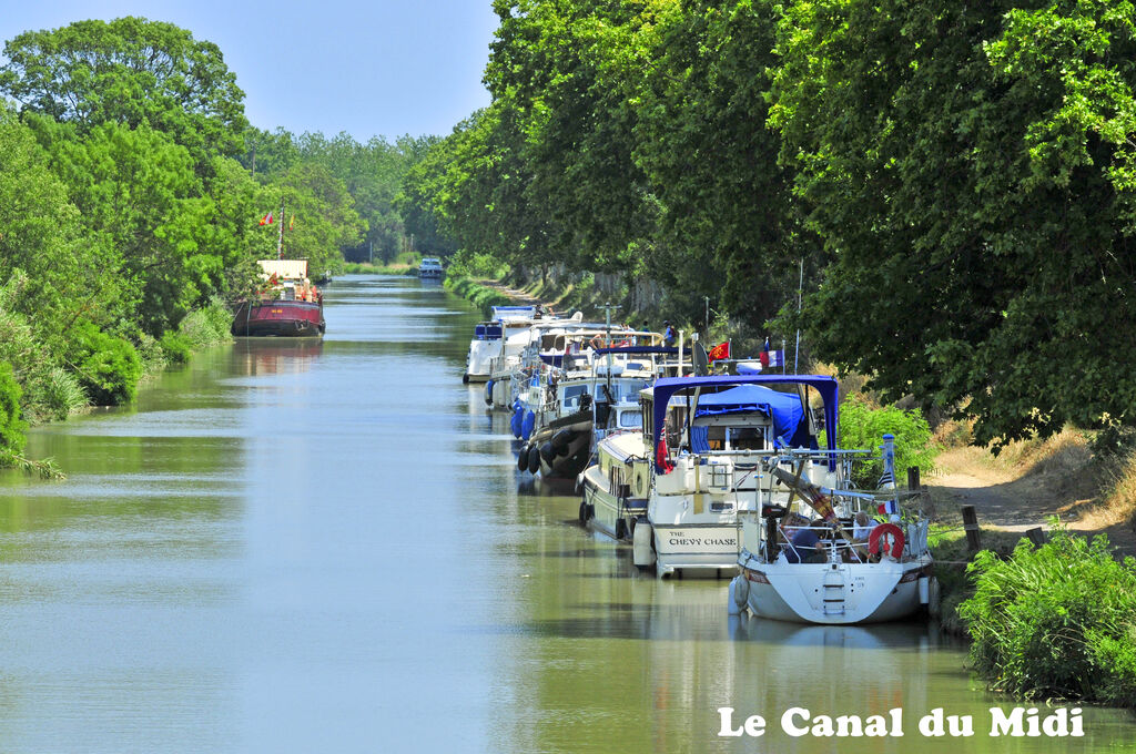L'or, Vakantiepark Languedoc Roussillon - 30