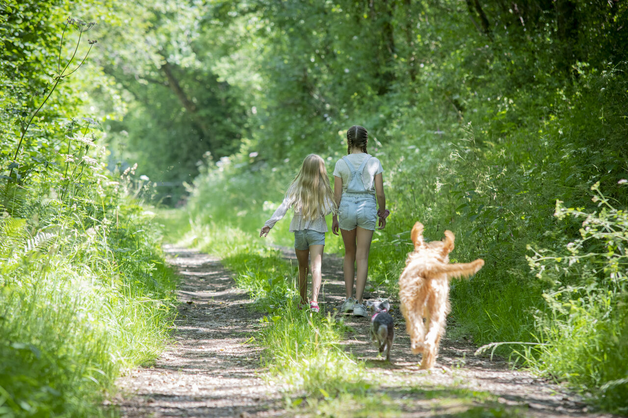 Kinderen en honden op natuurpad bij CAPFUN UK Otter Falls in Upottery Nr Honiton.